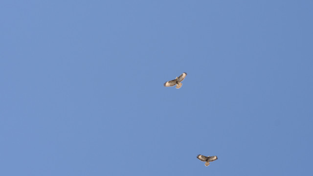 balades durant le confinement de mars 2020