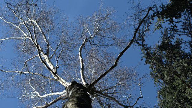 balades durant le confinement de mars 2020