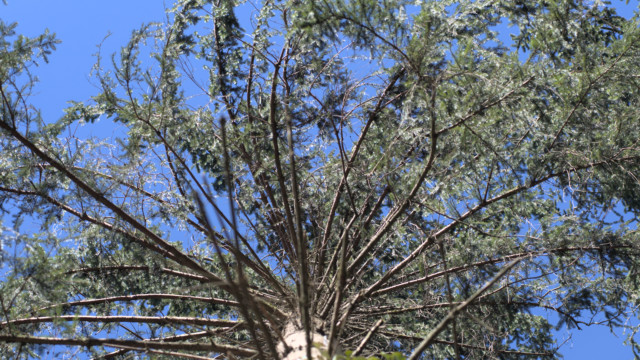 balades durant le confinement de mars 2020