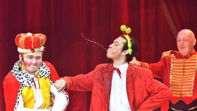 Harry, Séby & Steevie Van Gool